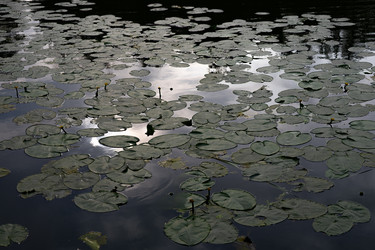 Similar image 22778014