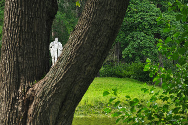 Similar image 22780885