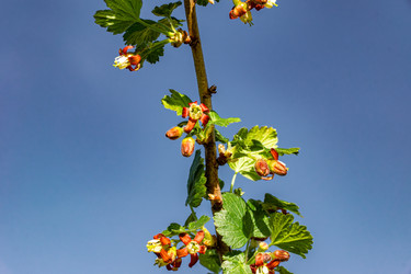 Similar image 22774874