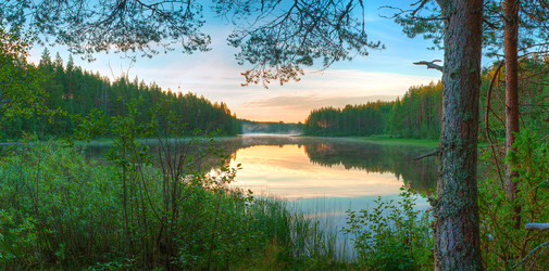 Similar image 22785521