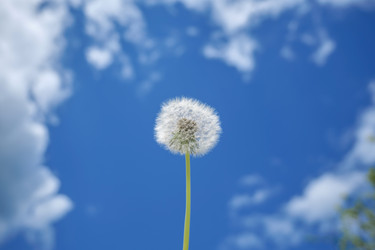 Similar image 22785353
