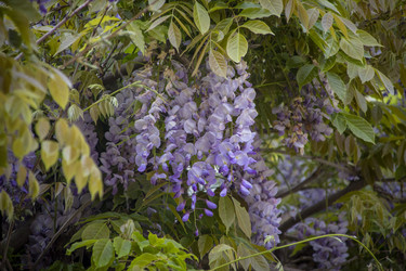Similar image 22775006