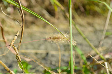 Similar image 22783794