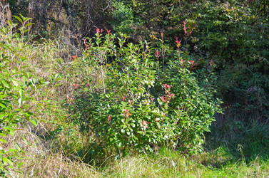 Similar image 22774905