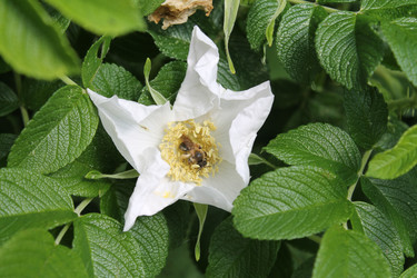 Similar image 22778197