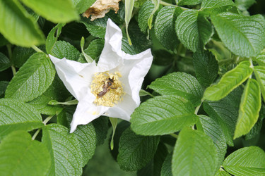 Similar image 22778198