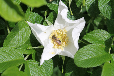 Similar image 22778200