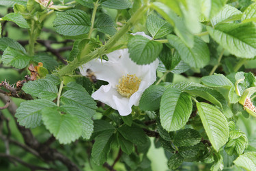 Similar image 22778201