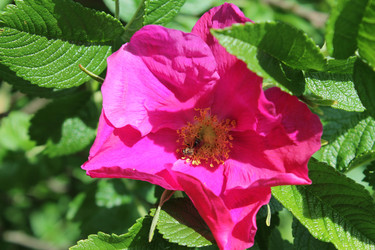 Similar image 22778203