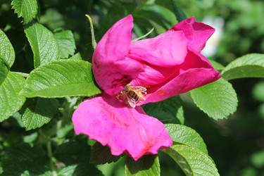 Similar image 22778204