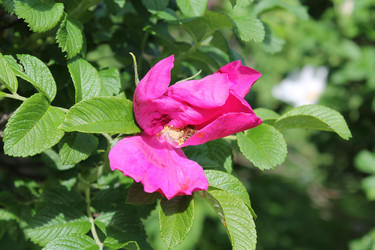 Similar image 22778205