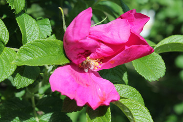 Similar image 22778207