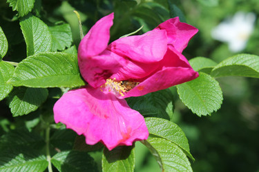 Similar image 22778208