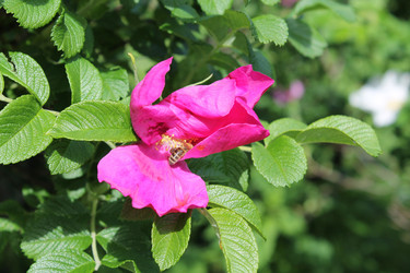 Similar image 22778210