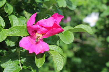 Similar image 22778224