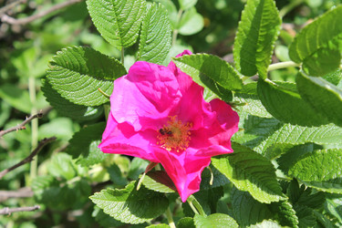 Similar image 22778227