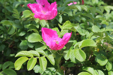 Similar image 22778228
