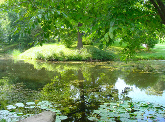 Similar image 22778242