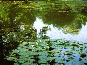 Similar image 22778248