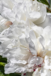 Similar image 22778020