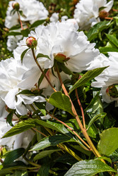 Similar image 22778026