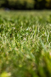 Similar image 22778061