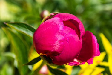 Similar image 22778062