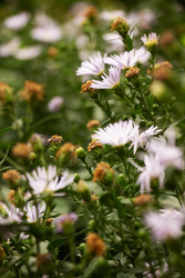 Similar image 22786571