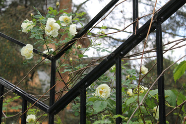 Similar image 22778152