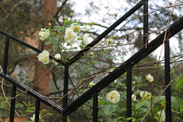 Similar image 22778158