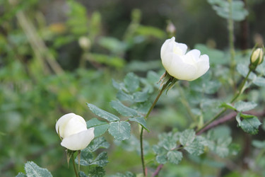 Similar image 22778161