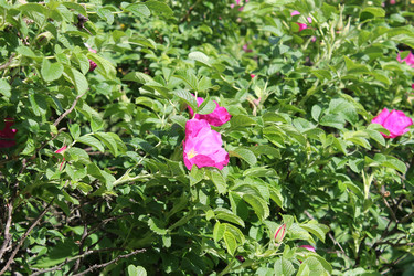 Similar image 22778178