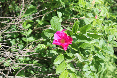 Similar image 22778182