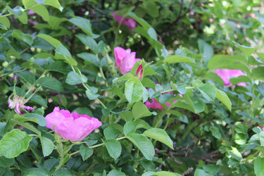 Similar image 22778184