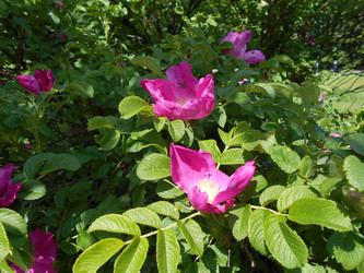 Similar image 22778185