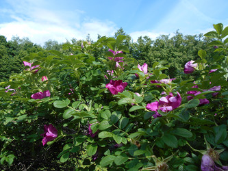 Similar image 22778187