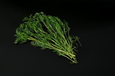 Similar image 22785703