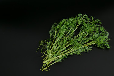 Similar image 22785704