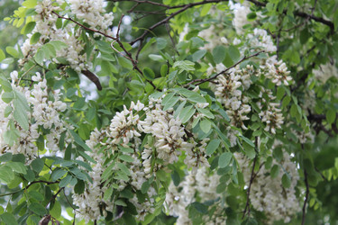 Similar image 22778276