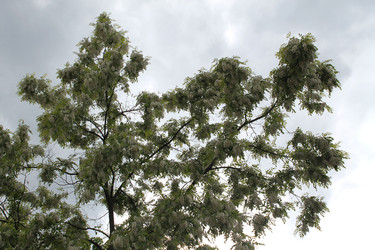 Similar image 22778278