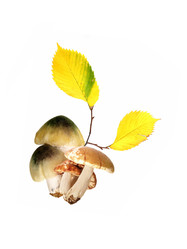 Similar image 22780870