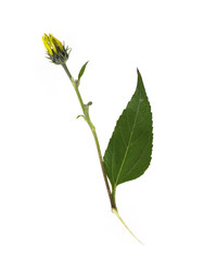 Similar image 22780878
