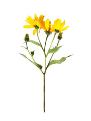 Similar image 22780881