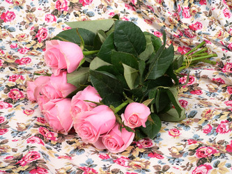 Similar image 22780893