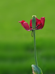 Similar image 22780896