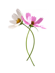 Similar image 22780905