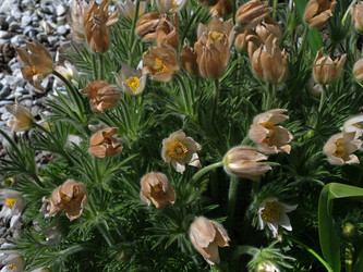 Similar image 22780930