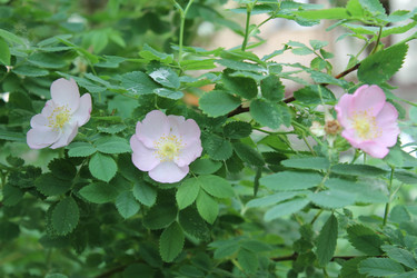 Similar image 22778141