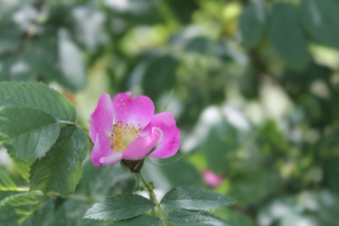Similar image 22778144