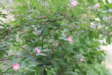 Similar image 22778148